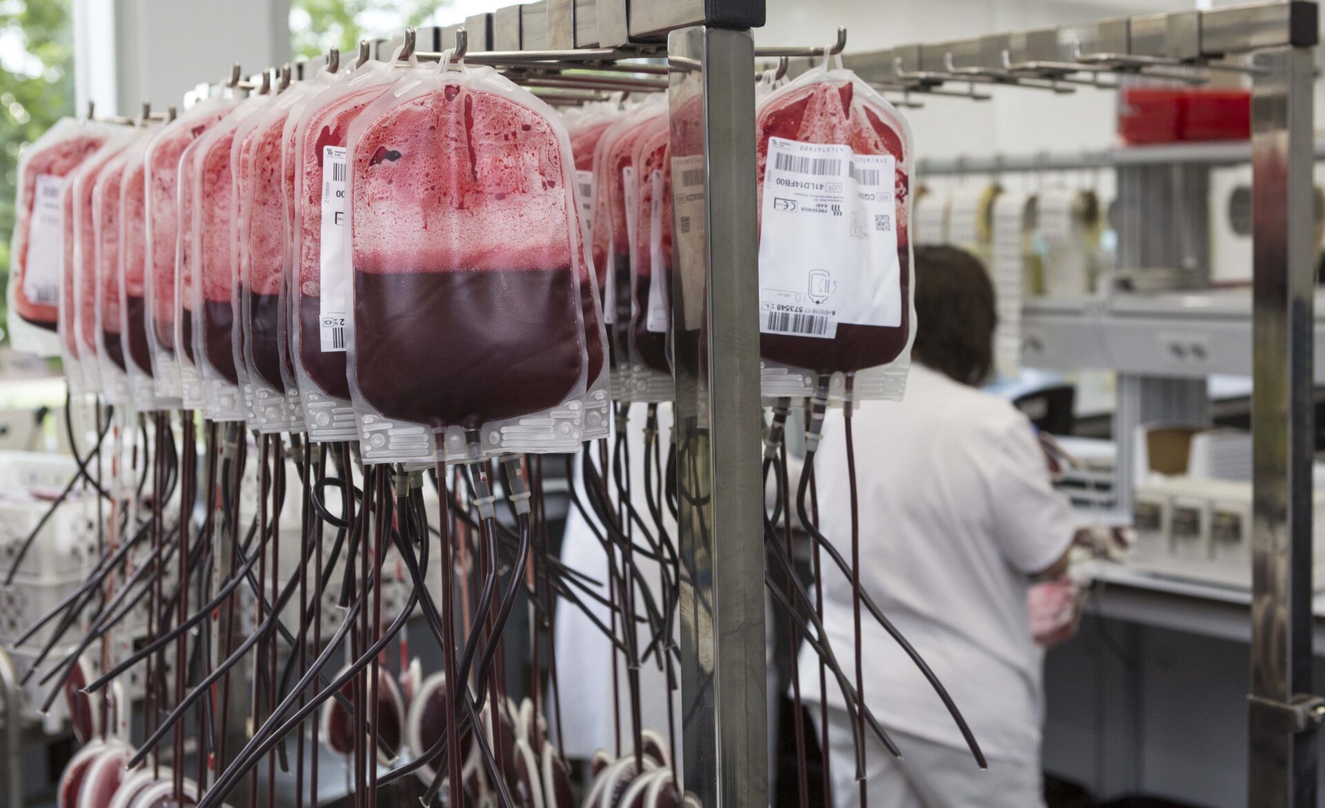 Una bolsa de sangre puede hacer posible una cirugía.jpg